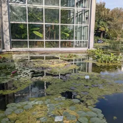 Palmengarten - Frankfurt