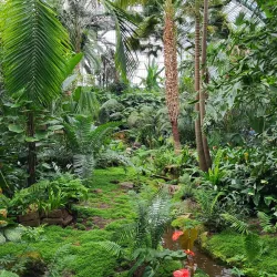 Palmengarten - Frankfurt