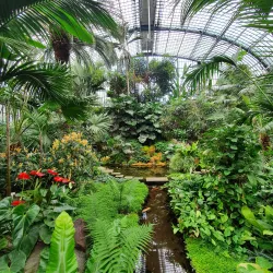 Palmengarten - Frankfurt