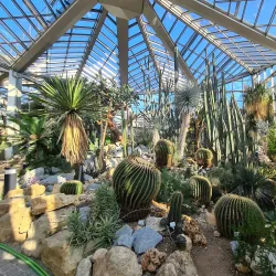 Palmengarten - Frankfurt