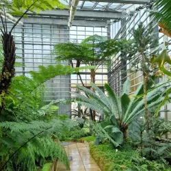 Freiburg Botanical Garden - Freiburg im Breisgau