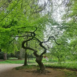 Freiburg Botanical Garden - Freiburg im Breisgau
