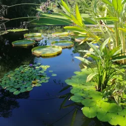 Freiburg Botanical Garden - Freiburg im Breisgau