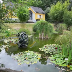 Freiburg Botanical Garden - Freiburg im Breisgau