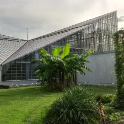 Freiburg Botanical Garden - Freiburg im Breisgau