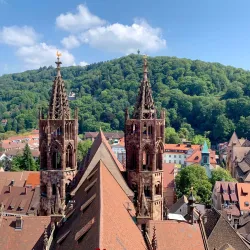 Freiburg Minster (Freiburger Münster) - Freiburg im Breisgau