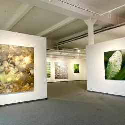 Kunsthalle Messmer - Freiburg im Breisgau