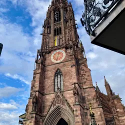 Münsterplatz - Freiburg im Breisgau