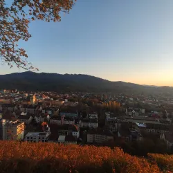 Schlossberg - Freiburg im Breisgau