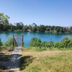Seepark Freiburg - Freiburg im Breisgau