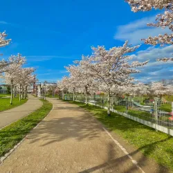 Seepark Freiburg - Freiburg im Breisgau