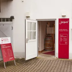 Local Vineyards and Wine Tasting - Friedrichsdorf