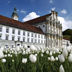 Fürstenfeld Abbey (Kloster Fürstenfeld) - Fürstenfeldbruck