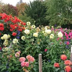 Fulda Botanical Garden (Botanischer Garten Fulda) - Fulda