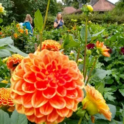 Fulda Botanical Garden (Botanischer Garten Fulda) - Fulda