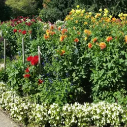 Fulda Botanical Garden (Botanischer Garten Fulda) - Fulda