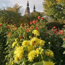 Fulda Botanical Garden (Botanischer Garten Fulda) - Fulda