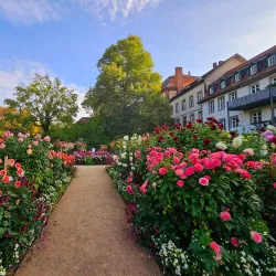 Fulda Botanical Garden (Botanischer Garten Fulda) - Fulda