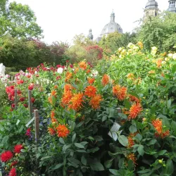 Fulda Botanical Garden (Botanischer Garten Fulda) - Fulda