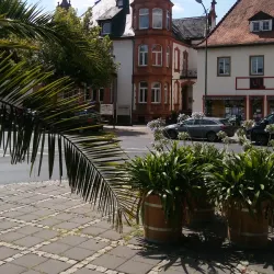 Heinrich-von-Bibra-Platz - Fulda