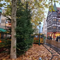 Historic Town Hall (Altes Rathaus) - Fulda