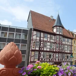 Historic Town Hall (Altes Rathaus) - Fulda