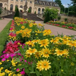 Historic Town Hall (Altes Rathaus) - Fulda