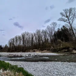 Alz River Fishing - Garching an der Alz