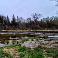 Alz River Fishing - Garching an der Alz