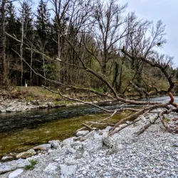 Alz River Fishing - Garching an der Alz