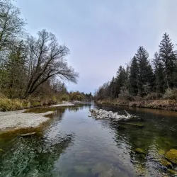 Alz River Fishing - Garching an der Alz