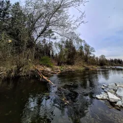 Alz River Fishing - Garching an der Alz