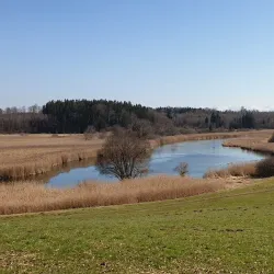 Alz River Walks - Garching an der Alz