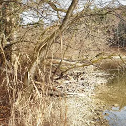 Alz River Walks - Garching an der Alz