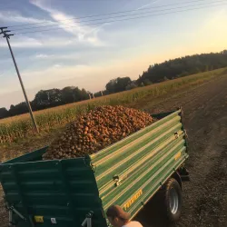 Bavarian Farmhouses - Garching an der Alz