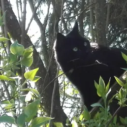 Bavarian Farmhouses - Garching an der Alz