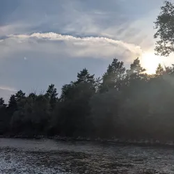 Nature Reserve Alztal - Garching an der Alz