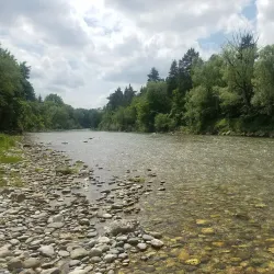 Nature Reserve Alztal - Garching an der Alz