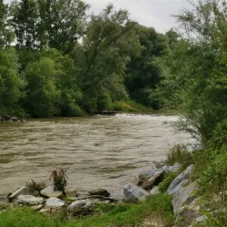 Nature Reserve Alztal - Garching an der Alz