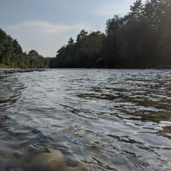 Nature Reserve Alztal - Garching an der Alz