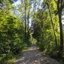 Nature Reserve Alztal - Garching an der Alz