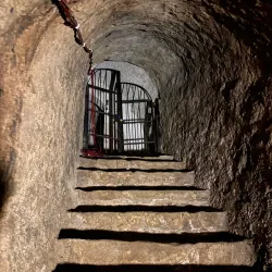 Geraer Höhler - Gera