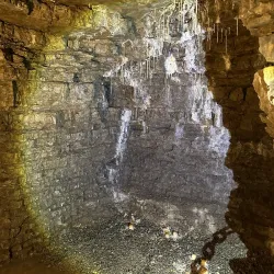 Geraer Höhler - Gera