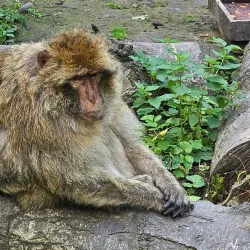 Stadtpark Gera - Gera