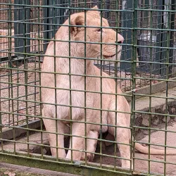 Stadtpark Gera - Gera