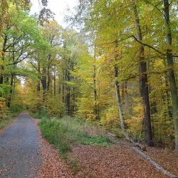 Stadtpark Gera - Gera