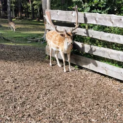 Tierpark Gera - Gera