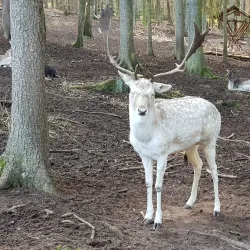 Tierpark Gera - Gera