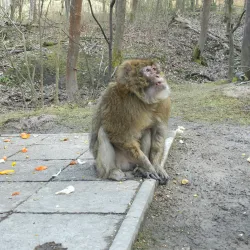 Tierpark Gera - Gera