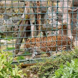 Tierpark Gera - Gera